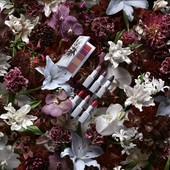 Icon erdem for nars strange flowers collection   stylized image 3