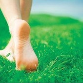 Icon feet on in grass