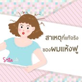 Icon cover