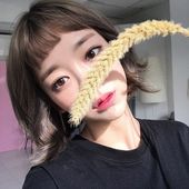 Icon 4161aabe40f96c54b4b1e979bc2c70aa