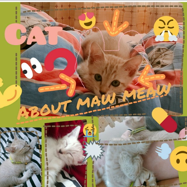 2018 09 01 05.55.36 1