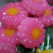 Icon img 3428
