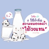 Icon cover skin3