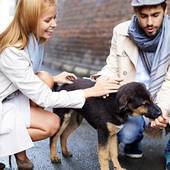 Icon 1453100899 pet lover dating