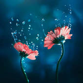 Icon 1455012938 i create whimsical images using flowers 7  880