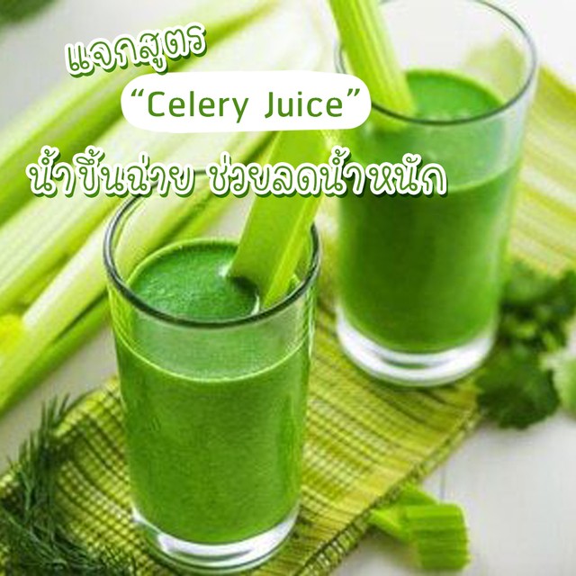 Cover celery %e0%b8%ab%e0%b8%a5%e0%b8%b1%e0%b8%81