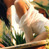 Icon original