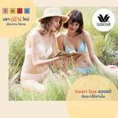 Icon wacoal cover