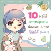 Icon 26e63d09 c904 471c a97b 48da885114cb