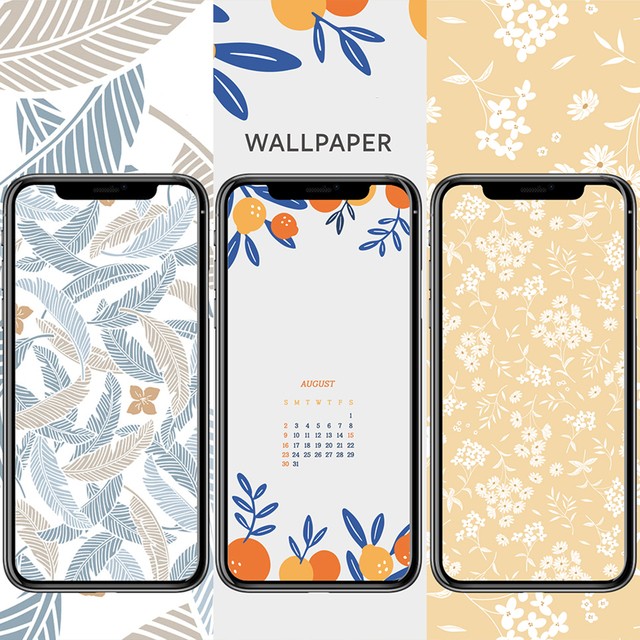 Daiso cover