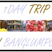Icon banglumpoo