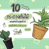 Icon cover