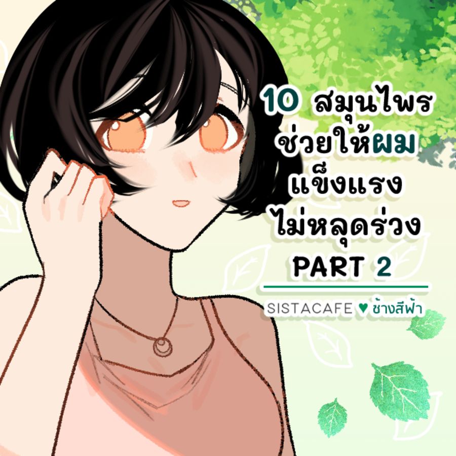 Thumbnaill1