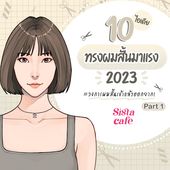 Icon cover