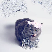 https://image.sistacafe.com/w200/images/uploads/content_image/image/104079/1457979410-pitzush-glamour-pussycat-2.jpg