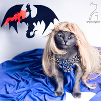 https://image.sistacafe.com/w200/images/uploads/content_image/image/104086/1457979472-pitzush-glamour-pussycat-9.jpg