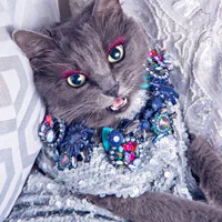 https://image.sistacafe.com/w200/images/uploads/content_image/image/104088/1457979493-pitzush-glamour-pussycat-11.jpg