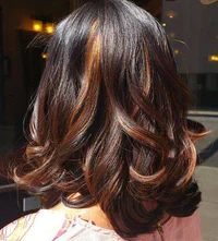 https://image.sistacafe.com/w200/images/uploads/content_image/image/105602/1458214572-20-caramel-highlights-for-dark-brown-hair.jpg