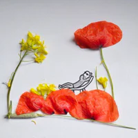 https://image.sistacafe.com/w200/images/uploads/content_image/image/105925/1458279575-This-17-Years-Old-Artist-Creatively-Plays-With-Ordinary-Things24__880.jpg
