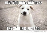 https://image.sistacafe.com/w200/images/uploads/content_image/image/106923/1458570265-funny-happy-dog-bad-day-try-smiling-pics.jpg