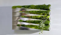 https://image.sistacafe.com/w200/images/uploads/content_image/image/117458/1460446646-16a-Silver-Mirror-Metallic-salad-wall-indoor-kitchen-herb-garden-Miroir-en-Herbe.jpg