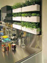 https://image.sistacafe.com/w200/images/uploads/content_image/image/117464/1460446721-Wall-Mounted-Vertical-Herb-Garden-in-the-Kitchen.jpg