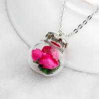 https://image.sistacafe.com/w200/images/uploads/content_image/image/121340/1461166032-Glass-Bottle-Pendant-necklace-Dry-flower-necklace-real-flower-necklace-silver-plated-chain-Necklace-for-women.jpg