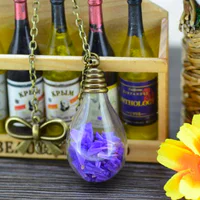 https://image.sistacafe.com/w200/images/uploads/content_image/image/121347/1461166803-Best-font-b-friend-b-font-Romantic-Purple-Real-Dried-Flower-Light-Bulb-Glass-Bottle-Teardrop.jpg
