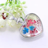 https://image.sistacafe.com/w200/images/uploads/content_image/image/121359/1461167493-nature-red-blue-dry-flower-necklace-for-women-gift-silver-plated-long-chains-cute-dry-flower.jpg