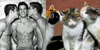 https://image.sistacafe.com/w200/images/uploads/content_image/image/146052/1465969957-cats-male-models-42-sm.jpg