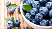 https://image.sistacafe.com/w200/images/uploads/content_image/image/151950/1466765568-Bowl-of-blueberries-1836.jpg