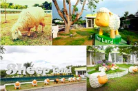 https://image.sistacafe.com/w200/images/uploads/content_image/image/154978/1467212926-Sheep_Land_Farm.jpg