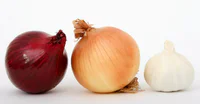https://image.sistacafe.com/w200/images/uploads/content_image/image/159552/1468225333-can-dogs-eat-onions-or-garlic.jpg