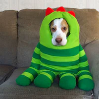 https://image.sistacafe.com/w200/images/uploads/content_image/image/173591/1470205255-dressed-up-dog-costume-beagle-maymothedog-7a.jpg