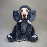 https://image.sistacafe.com/w200/images/uploads/content_image/image/173597/1470205292-dressed-up-dog-costume-beagle-maymothedog-13-579f59478fa1a__700.jpg