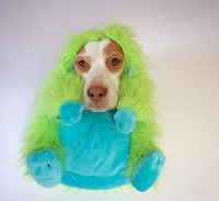https://image.sistacafe.com/w200/images/uploads/content_image/image/173609/1470205365-dressed-up-dog-costume-beagle-maymothedog-20-579f595938b22__700.jpg