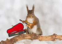 https://image.sistacafe.com/w200/images/uploads/content_image/image/182758/1471271759-i-have-shot-photos-from-wild-red-squirrels-with-tiny-music-instruments-this-half-year__880.jpg