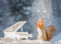 https://image.sistacafe.com/w200/images/uploads/content_image/image/182770/1471271904-i-have-shot-photos-from-wild-red-squirrels-with-tiny-music-instruments-this-half-year-14__880.jpg
