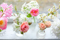 https://image.sistacafe.com/w200/images/uploads/content_image/image/18525/1437110079-flowers-5.jpg