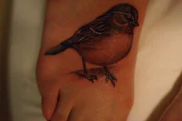 https://image.sistacafe.com/w200/images/uploads/content_image/image/192705/1472206417-Black-And-Grey-Bird-Tattoo-Design-For-Foot.jpg