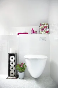 https://image.sistacafe.com/w200/images/uploads/content_image/image/194955/1472544780-toilet-paper-storage-recycled-dvd-rack.jpg