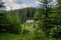 https://image.sistacafe.com/w200/images/uploads/content_image/image/199226/1472840644-cozy-cabins-in-the-woods-64-575fe9ca22179__880.jpg