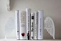 https://image.sistacafe.com/w200/images/uploads/content_image/image/213697/1474433863-Angel-Wings-Bookends.jpg