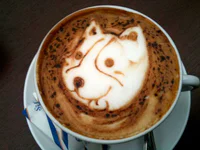 https://image.sistacafe.com/w200/images/uploads/content_image/image/214994/1474488073-animal-lattte.jpg