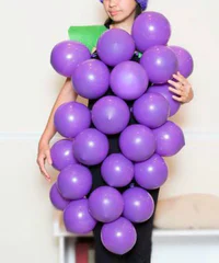 https://image.sistacafe.com/w200/images/uploads/content_image/image/235701/1477289199-1442003377-bunch-of-grape-costume-2.jpg