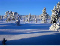 https://image.sistacafe.com/w200/images/uploads/content_image/image/245243/1478435493-winter-at-buskerud-fylke-norway-winter-places-to-visit-1410360354ng4k8.jpg