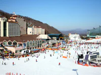 https://image.sistacafe.com/w200/images/uploads/content_image/image/253495/1479722662-vivaldi_park_-Korea_ski_resort_-day__2_.jpg