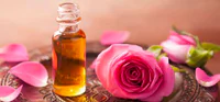 https://image.sistacafe.com/w200/images/uploads/content_image/image/261383/1481144596-Benefits-of-Rose-Essential-Oil.jpg