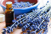 https://image.sistacafe.com/w200/images/uploads/content_image/image/261896/1481207283-lavender-essential-oil.jpg