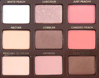 https://image.sistacafe.com/w200/images/uploads/content_image/image/280925/1484193036-too-faced-sweet-peach-eyeshadow-palette-swatches-review-summer-2016-4.jpg